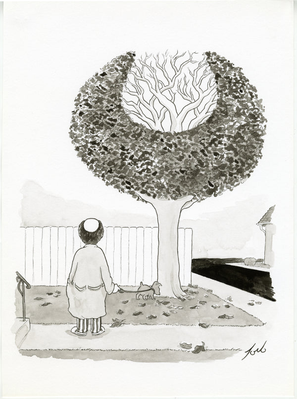 Balding Tree