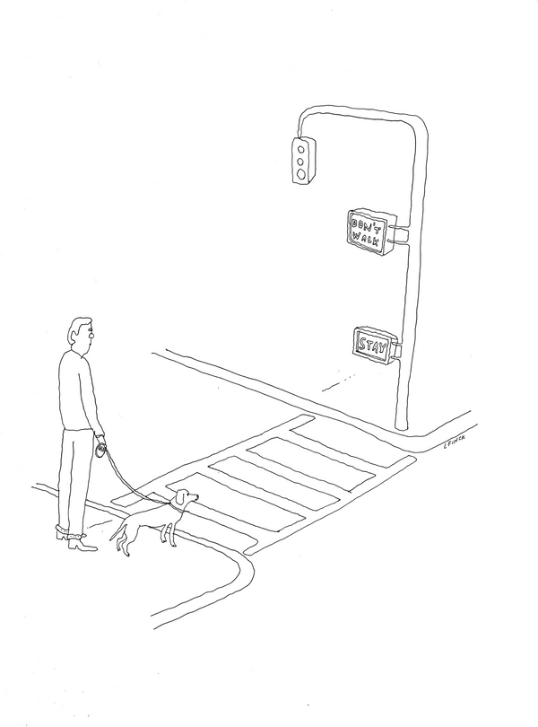 Dog Crosswalk