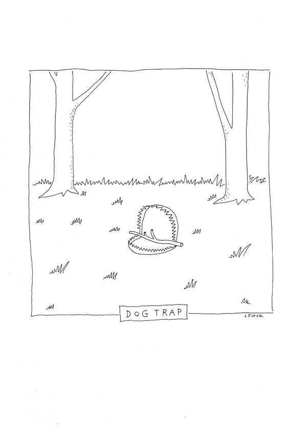 Dog Trap