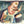 Load image into Gallery viewer, Corin Redgrave

