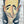 Load image into Gallery viewer, Bobby Previte
