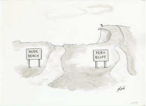 Nude Beach Perv Bluff