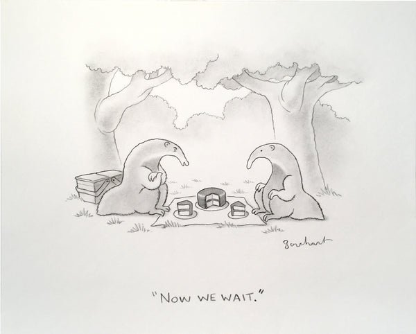 Anteaters' Picnic