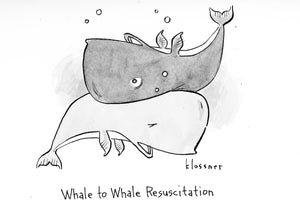 Whale to Whale Resuscitation